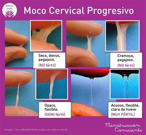 Método Billings o del moco cervical: cómo es, para。